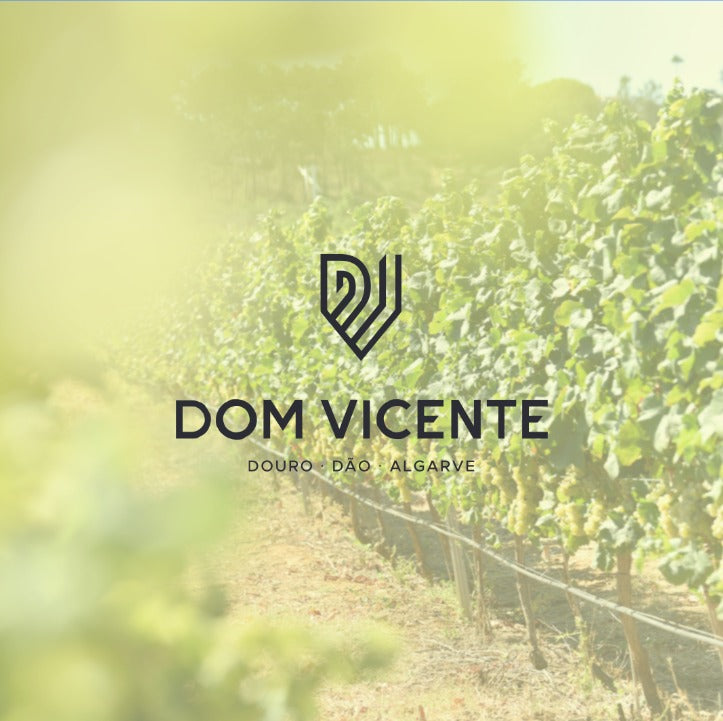 Dom Vicente