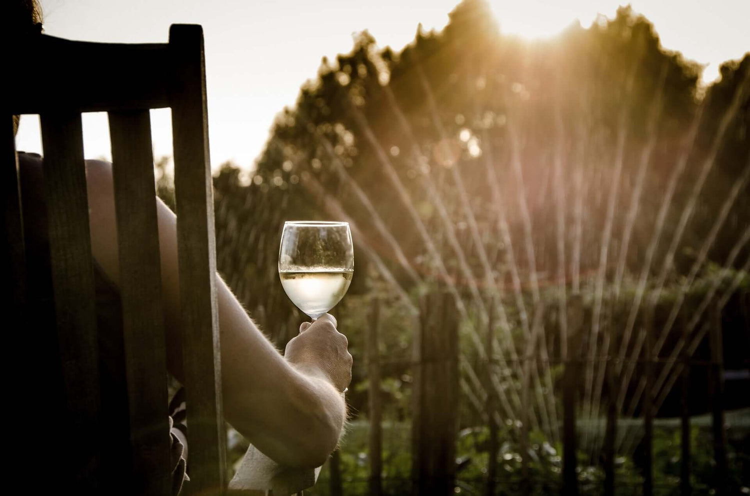 Castas brancas, ou tintas que fazem o Blanc de noir, normalmente leves e frescos, aromáticos. poderão ter estrutura consoante o estágio. Dos intensos Alvarinhos aos elegantes Antão Vaz e Chardonnay, a nossa seleção de vinhos brancos oferece opções para to