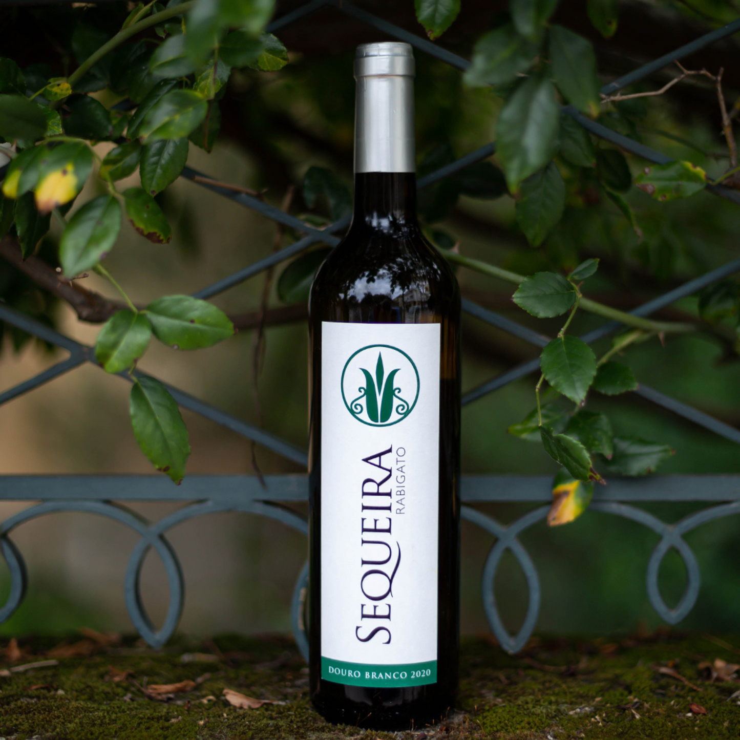 QUINTA DA SEQUEIRA BRANCO RABIGATO 2023 0.75