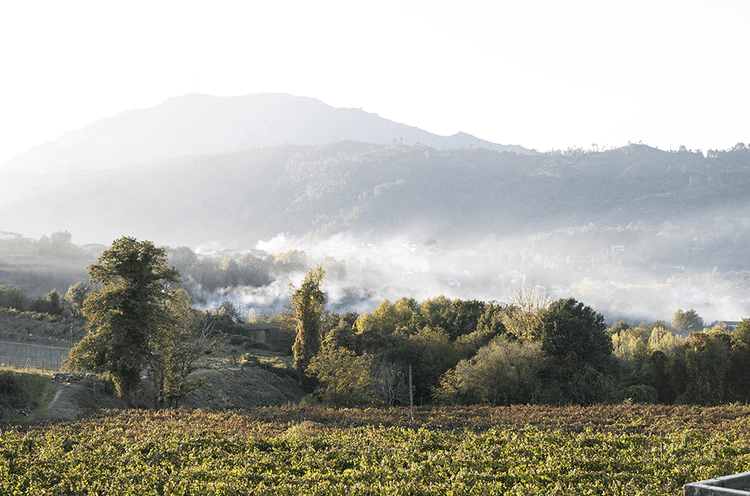 Região vínica do norte de Portugal, apresenta produtos de alta qualidade, dos que melhor representa Portugal pelo mundo todo