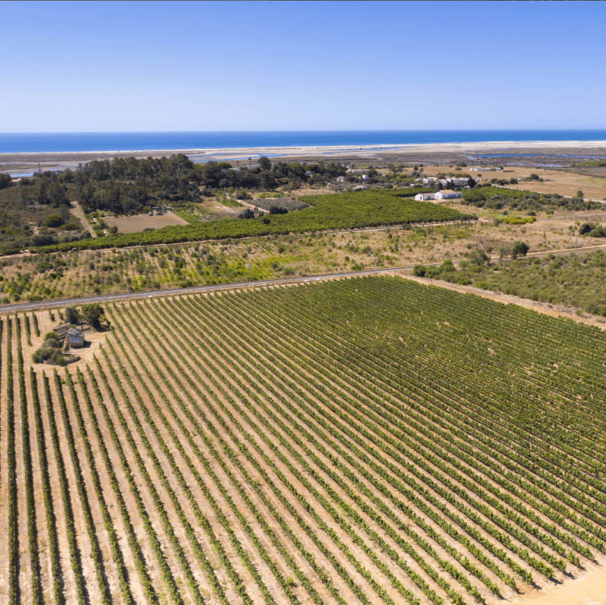 Algarve