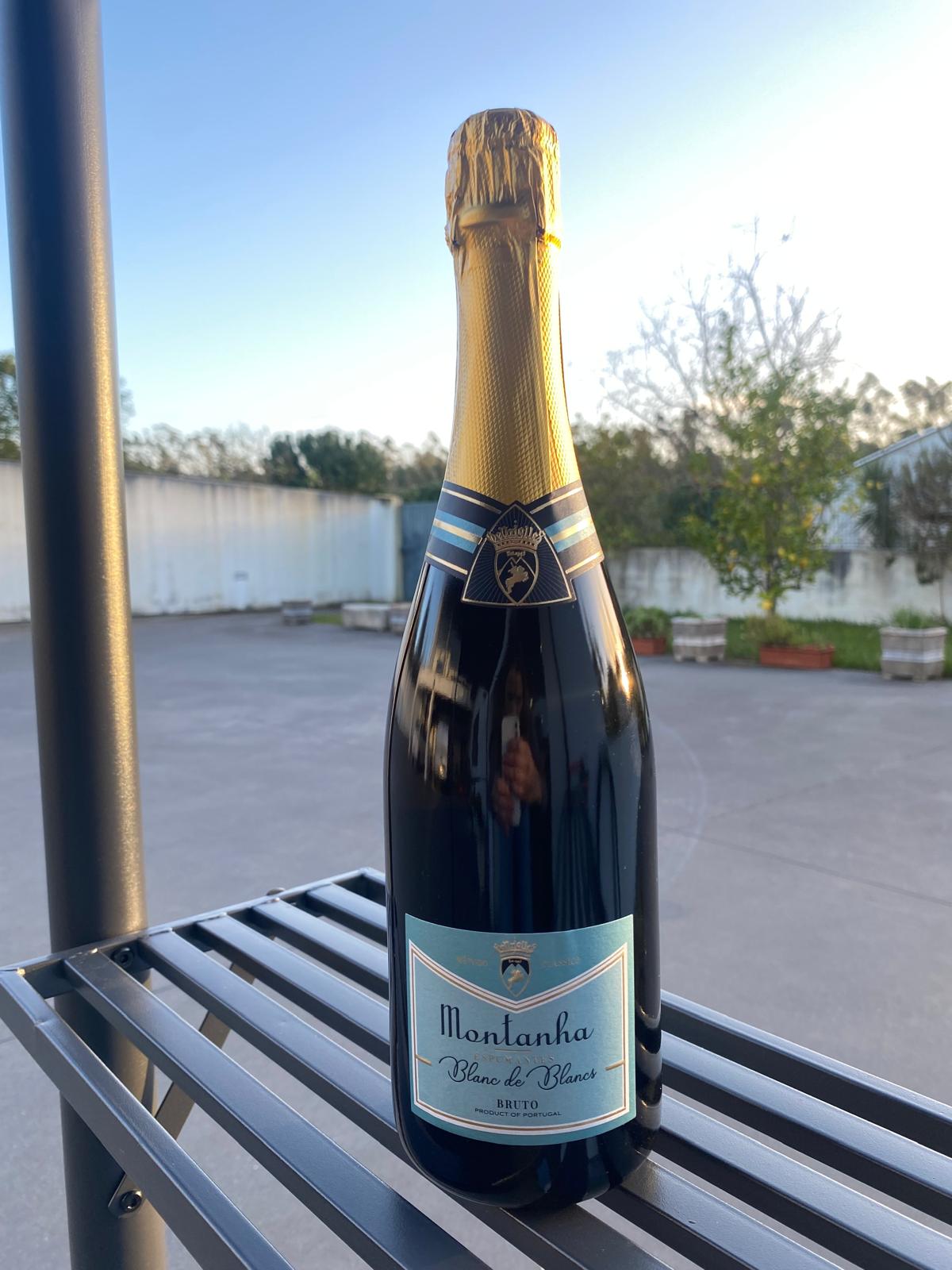 ESPUMANTE RESERVA MONTANHA BRANCO BLANC DE BLANC 0.75L