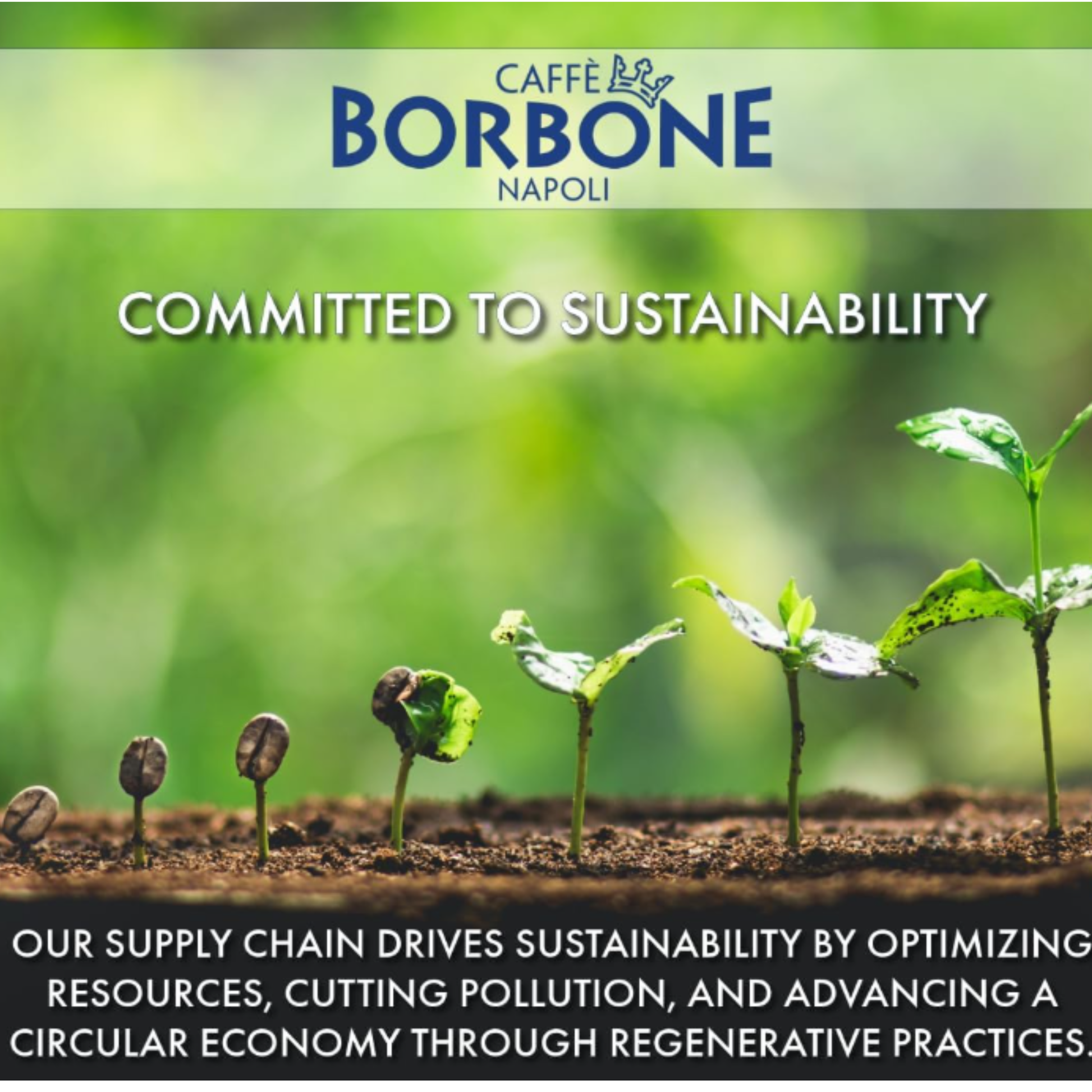 Caffé Borbone Crema Superiore 1kg compromisso com a sustentabilidade e práticas regenerativas.